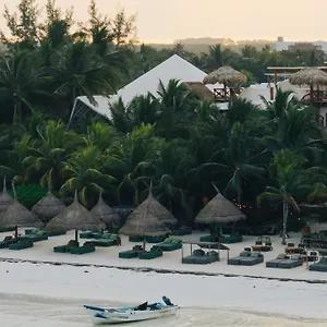 Отель Casa Tortugas Petit &, Остров Холбокс